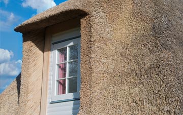 Aldreth thatch roof disadvantages